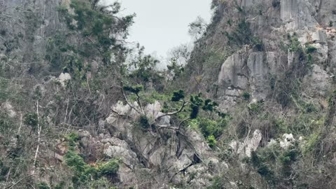 Apollo Cruise II in Ha Long Bay, Vietnam