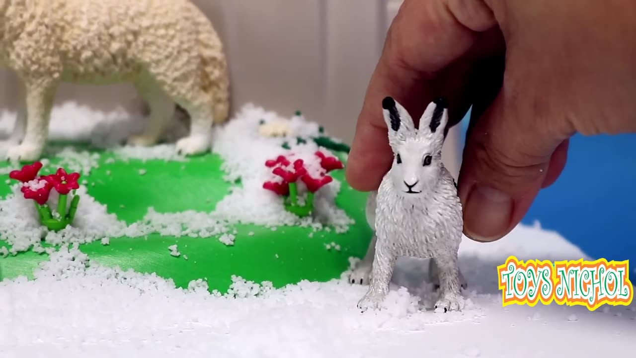 Polar Bear Comes Out of its Den in Snow Hole During the Day
