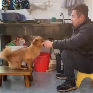 I'm practicing for the show.