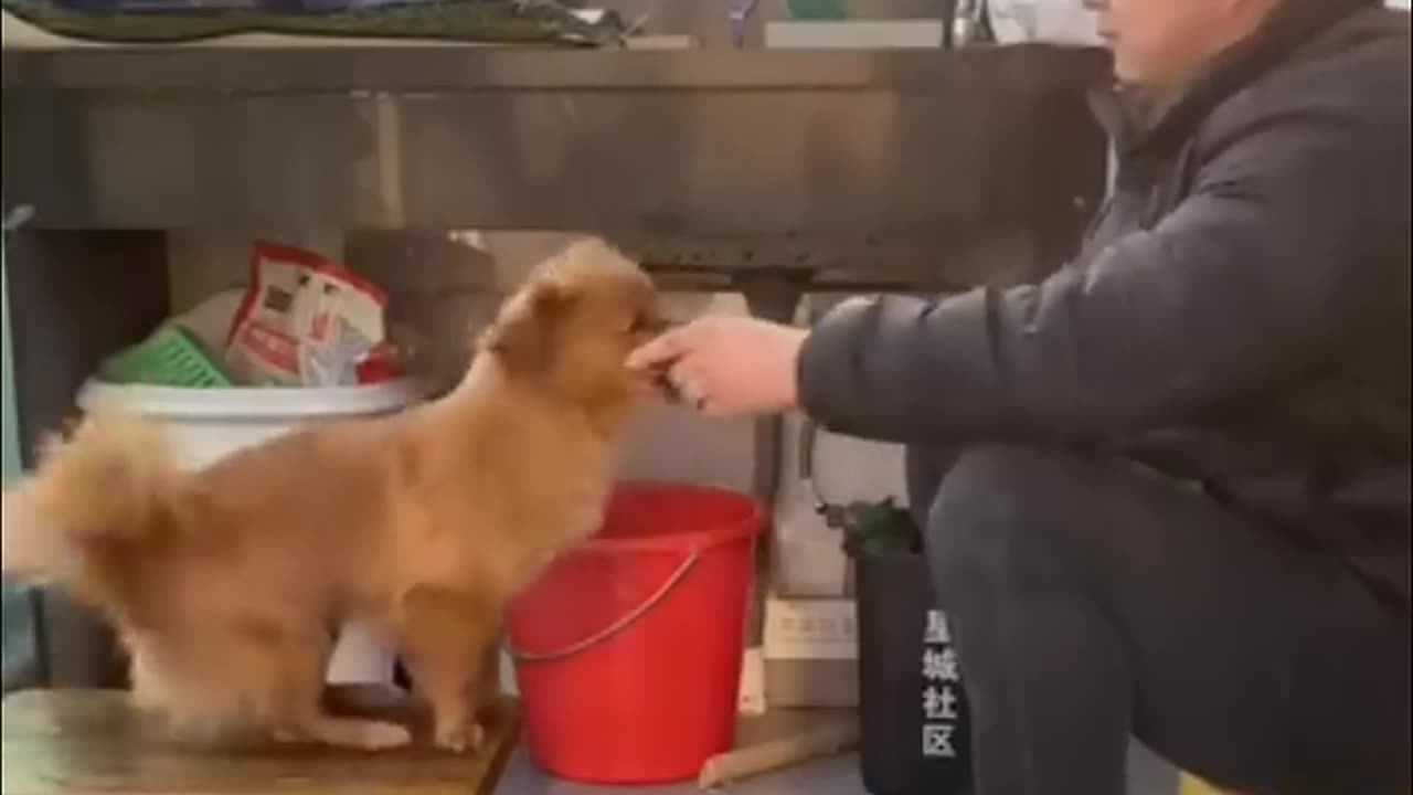 I'm practicing for the show.