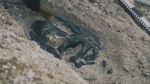 Ancient Humans, Fact or Fiction?