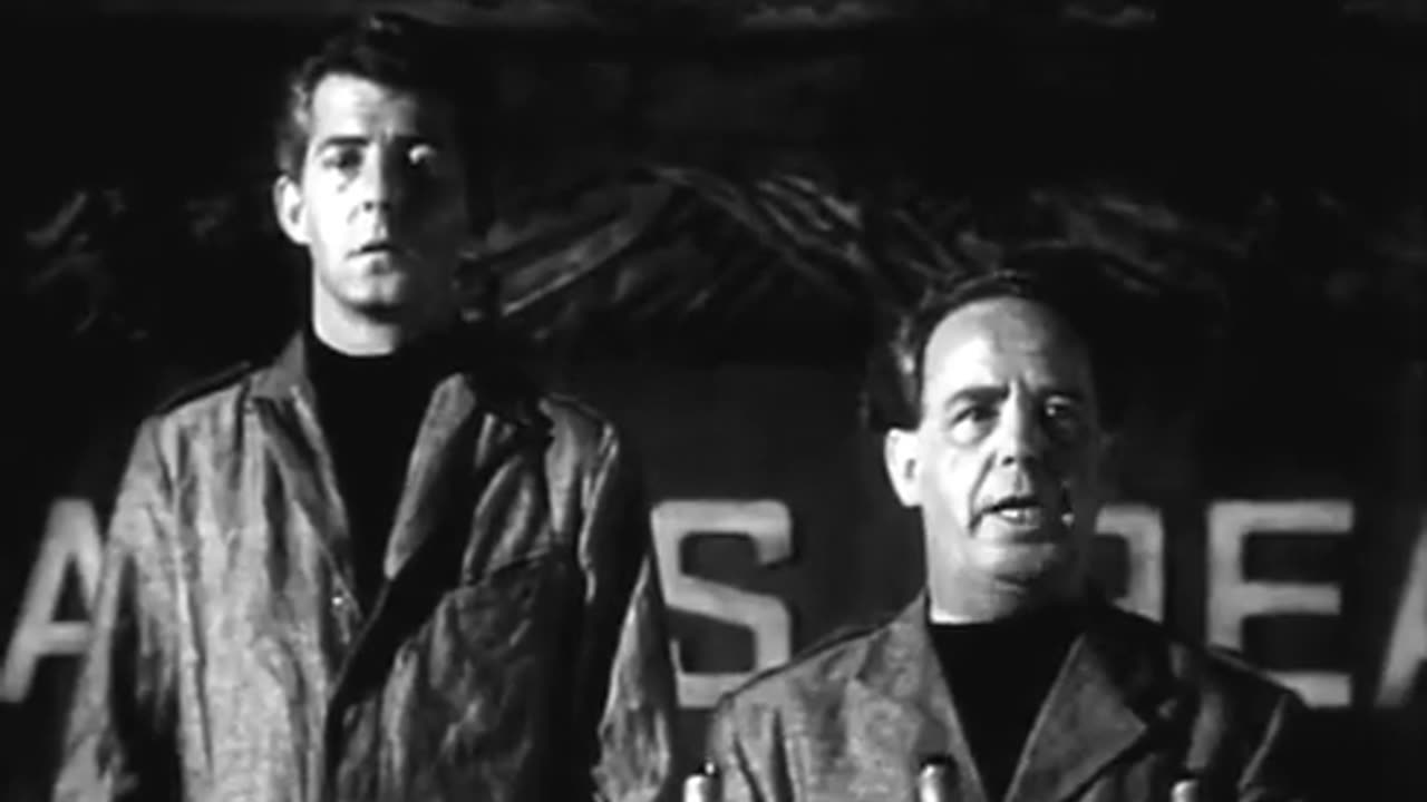 FILM "1984" - George Orwell