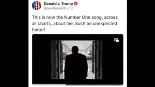 I'm A Fighter (Trump Song)..........