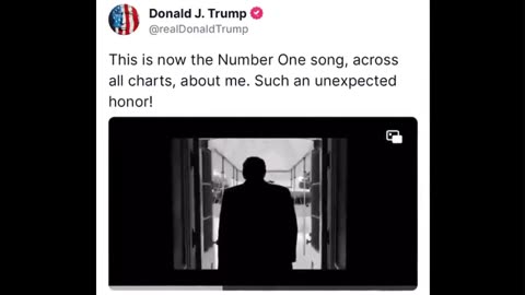 I'm A Fighter (Trump Song)..........