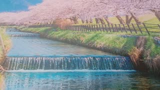 111925 YOUR SEASON OF NOW WILLIAM BROOKS