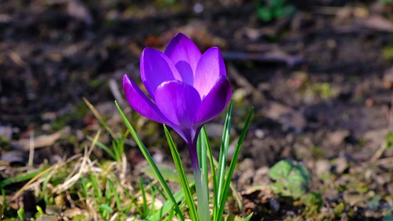 Nothing can beat nature