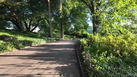🗽 NYC Live 🔴 Walk (Chat on YouTube)