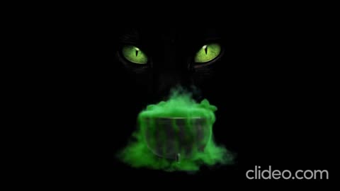 After 810 PM - Black Cat Crossing - By Rick Roberts
