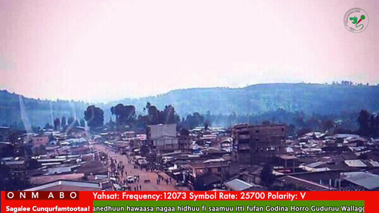 Oduu Ganama ONM-ABO Fulbaana 17-2025 itti dhiyaadhaa!