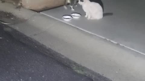 2 sweeties