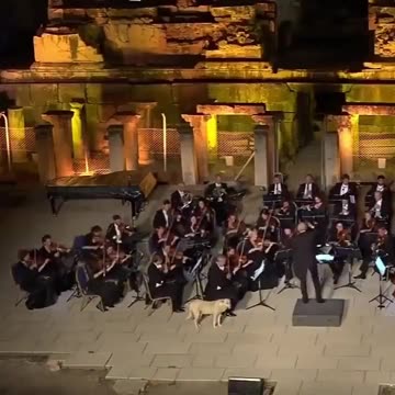 Good boy stealing the show.. 😂