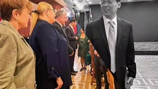 EUROPARLAMENTARUL DIANA IOVANOVICI-ȘOȘOACĂ REDESCHIDE RELAȚIILE UE-CHINA!