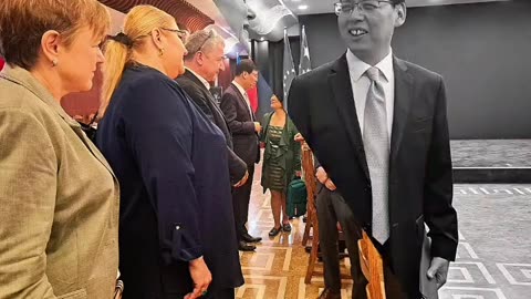 EUROPARLAMENTARUL DIANA IOVANOVICI-ȘOȘOACĂ REDESCHIDE RELAȚIILE UE-CHINA!