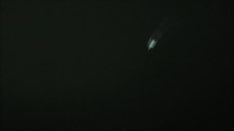 UFO IDENTIFIED Close Up Camera Bomb Over Adelaide 21 November 2025