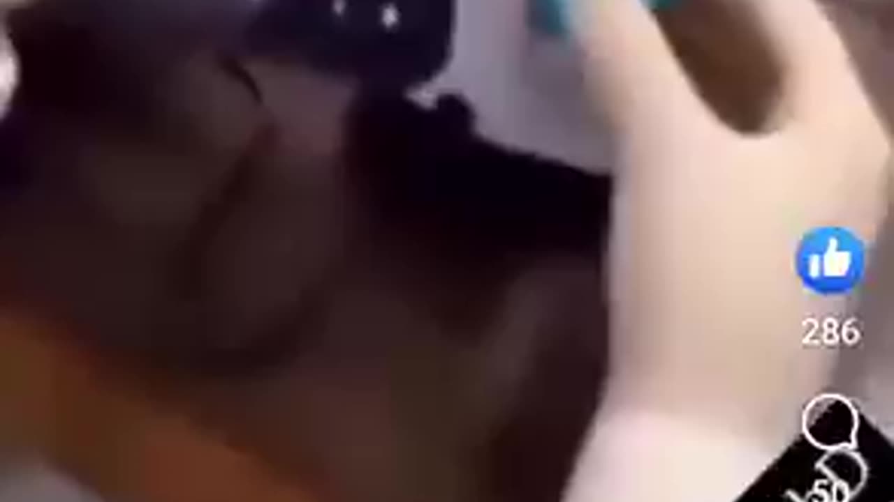 Parents, please watch. BCG Vaccine to 0-12 Months.