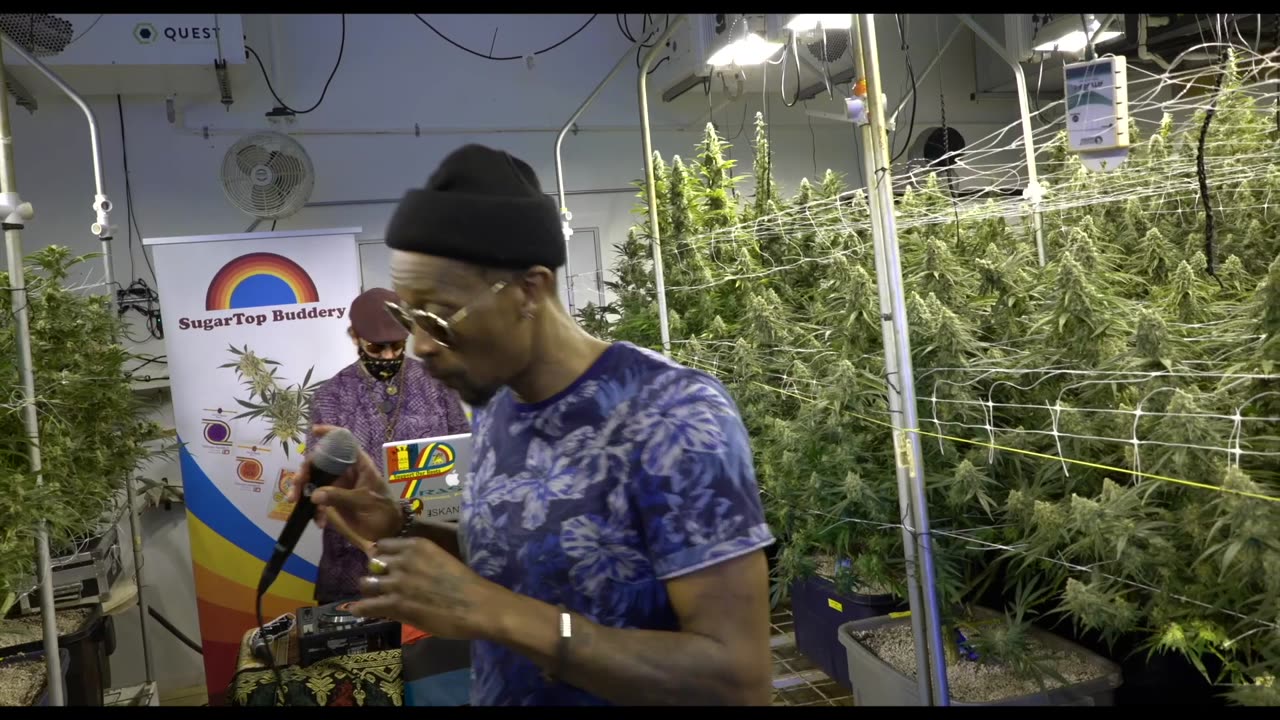 Serenaded Buds : Red Ites - Blakkamoore & The Bambu King