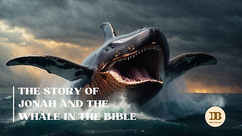 What Happens When You DISCOVER The Hidden Meaning of Jonah and The Whale