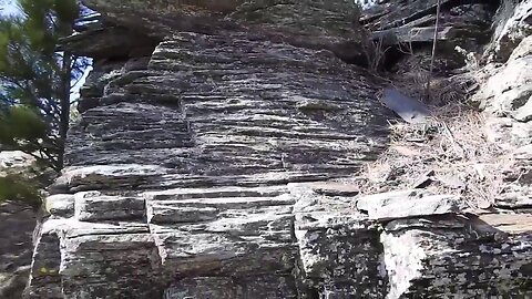 The original forest on flat earth part 15, 3 of 7, My Trip Unedited