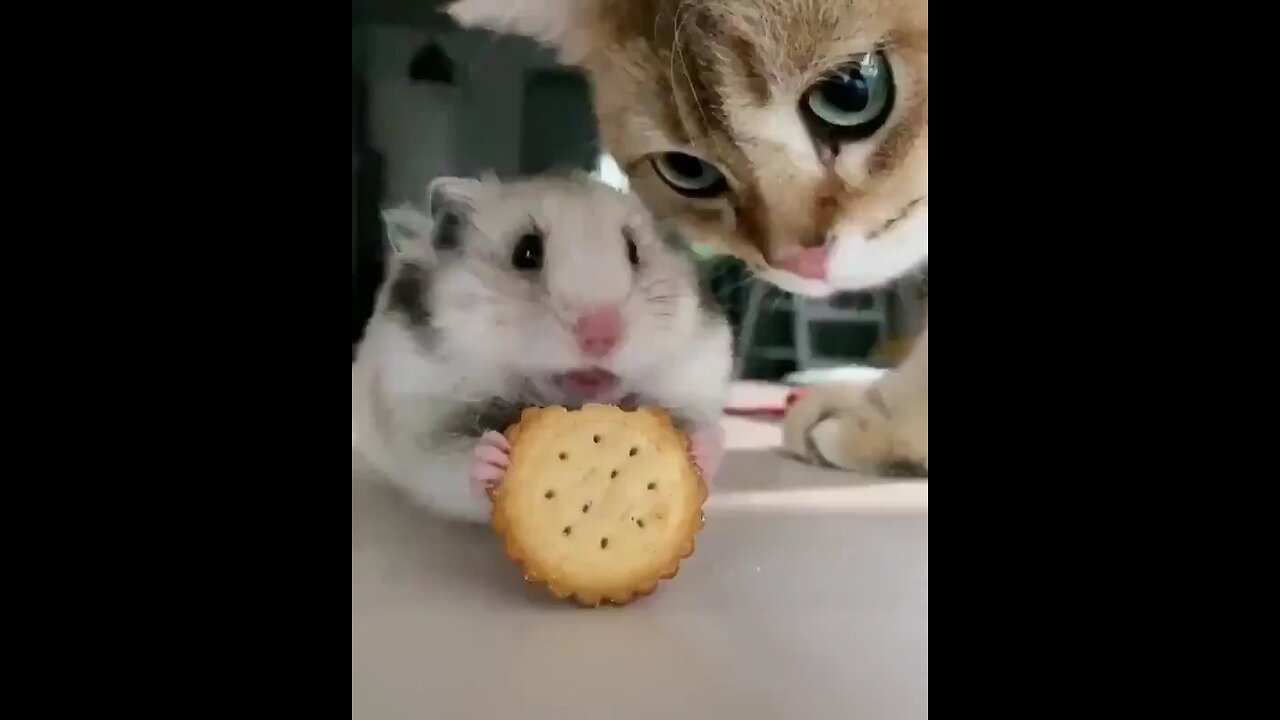 Fed up, now you can eat Funny 😄