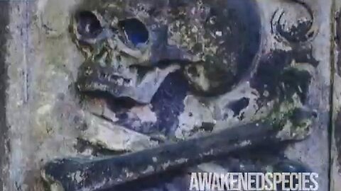 "Unraveling Pirate History: The Mysterious Path of William 'Bill' Cooper"