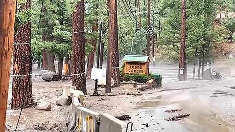 Flash floods rush through forested cabins in New Mexico
