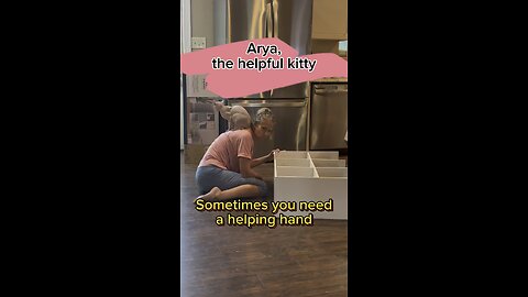 Arya, the hairless, loves to give a helping hand.