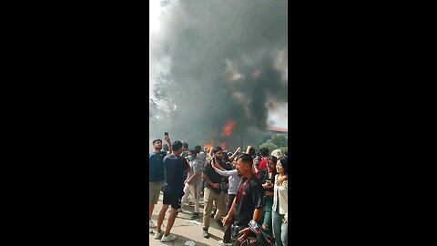 zenz protest and the government get out our country