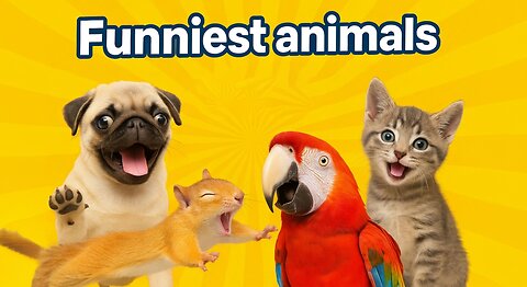 Funniest animals