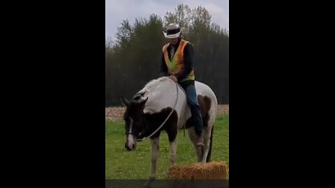 Oakley - Start Right!! First time with a person on his back - 2 May 2025