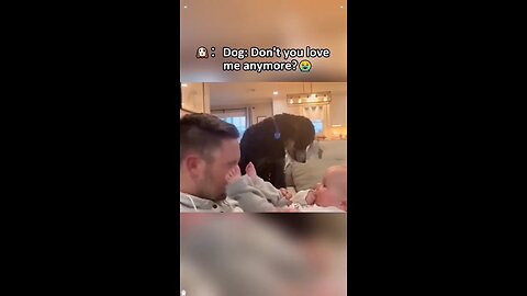 👀 Dog said: EXCUSE ME?!