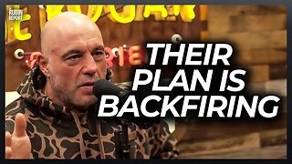 Is Joe Rogan Wrong on the Basic Facts of ICE?