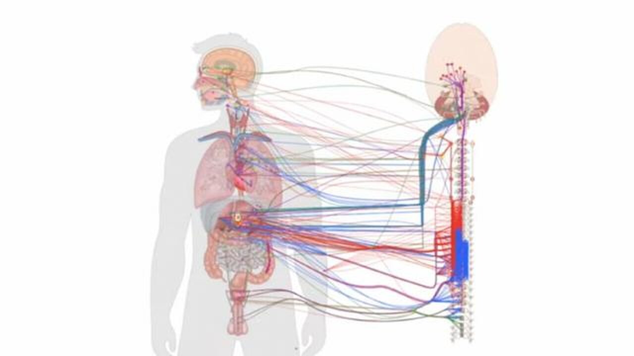 A Bio-Digital Convergence Discussion from August 2025