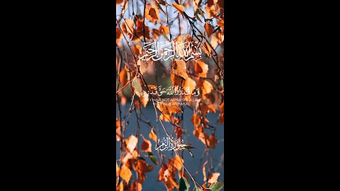 🔥Surah Az-Zumar 39:67 سورة الزمر ⚡🌍✨ #Quran #shorts #viral #trending #love #youtubeshorts #short