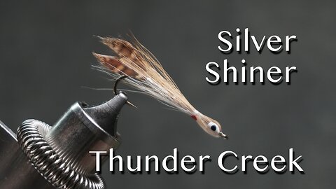 Silver Shiner with tail from Kieth Fulcher’s Thunder Creek series of streamer flies