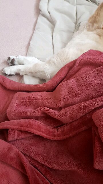 20251113. My Lord Is Jesus Christ.