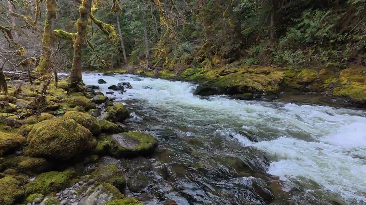 Oregon River Flow