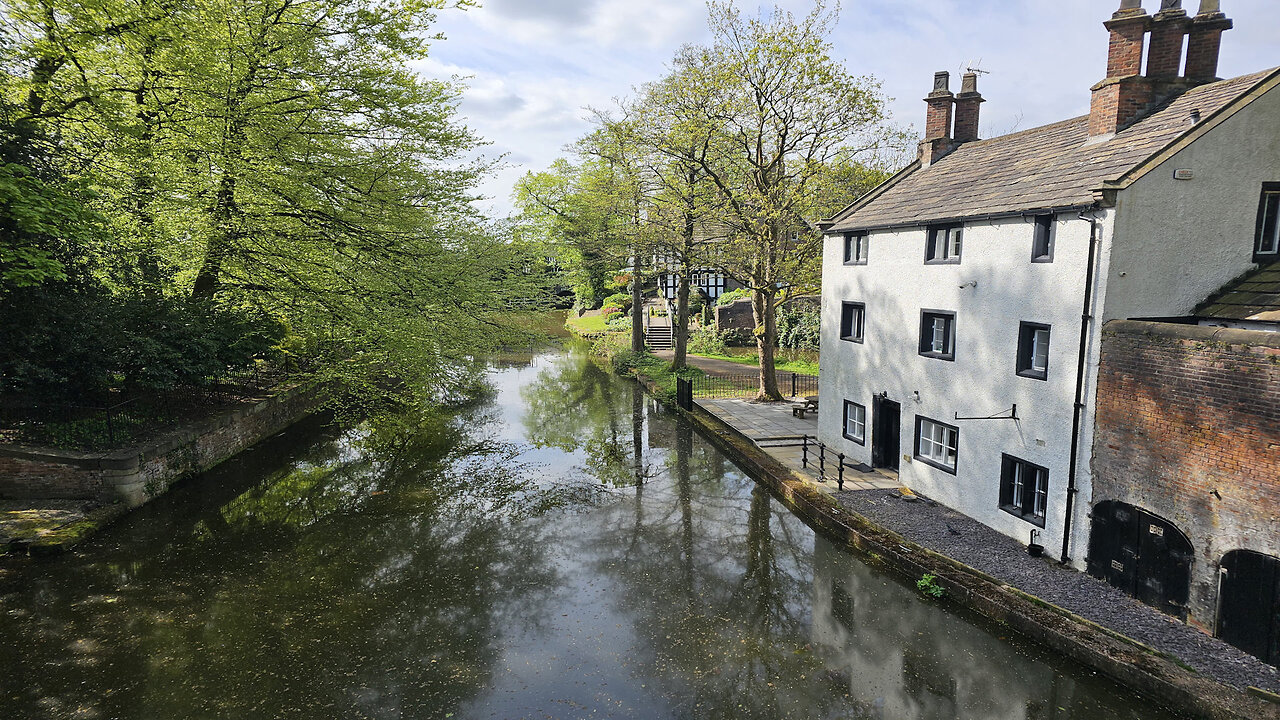 Bridgewater Canal & Worsley Woods