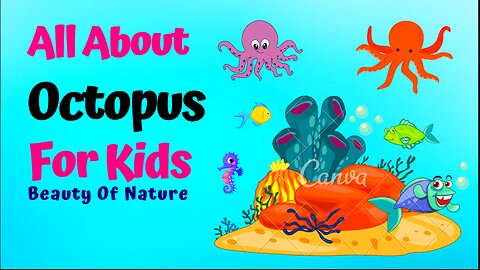 🐙 The Amazing World of Octopuses! 🐙