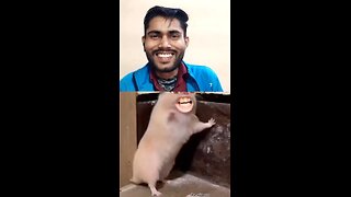 tumhen himmat kaise Hui mujhe chhune ki