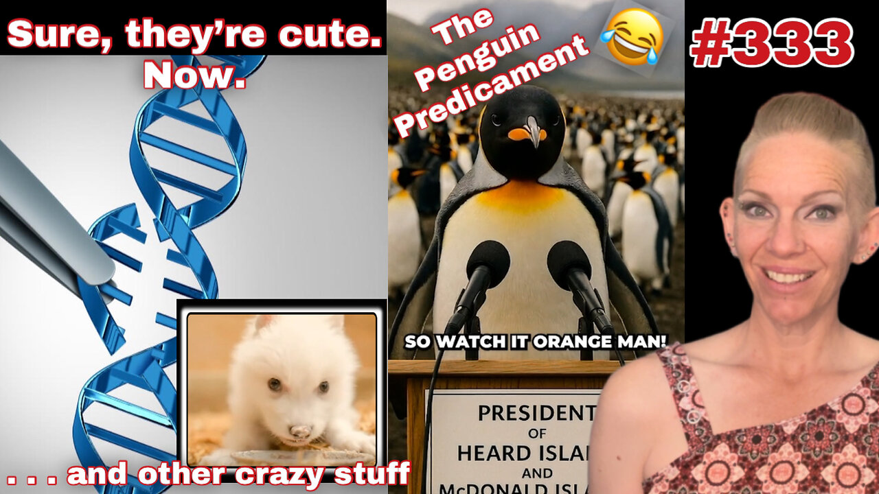 The Strangest Stuff on the Interwebs