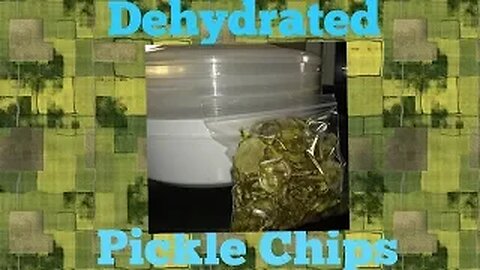 dehydrated pickle chips for backpacking/camping