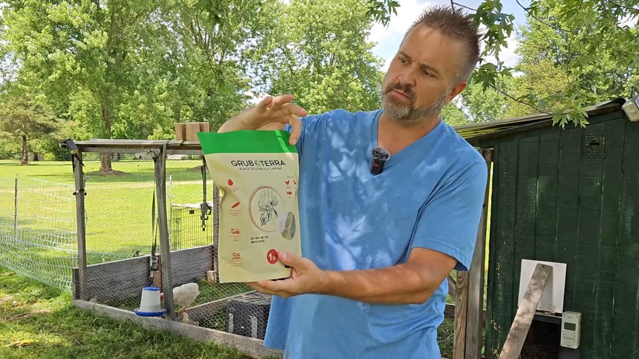 GRUBTERRA 1lb Black Soldier Fly Larvae | The Best Treats For Your Chickens, Fish, Reptiles And Birds