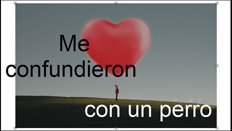 Me confundieron con un perro