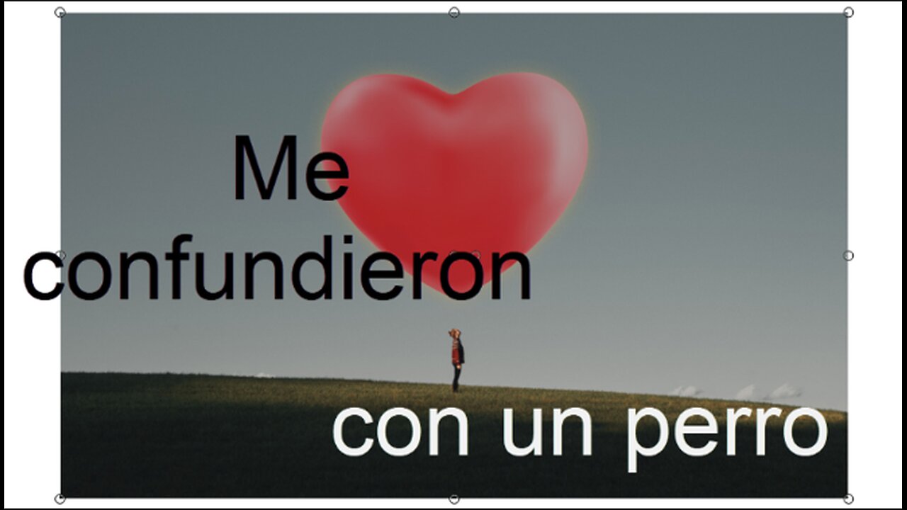 Me confundieron con un perro