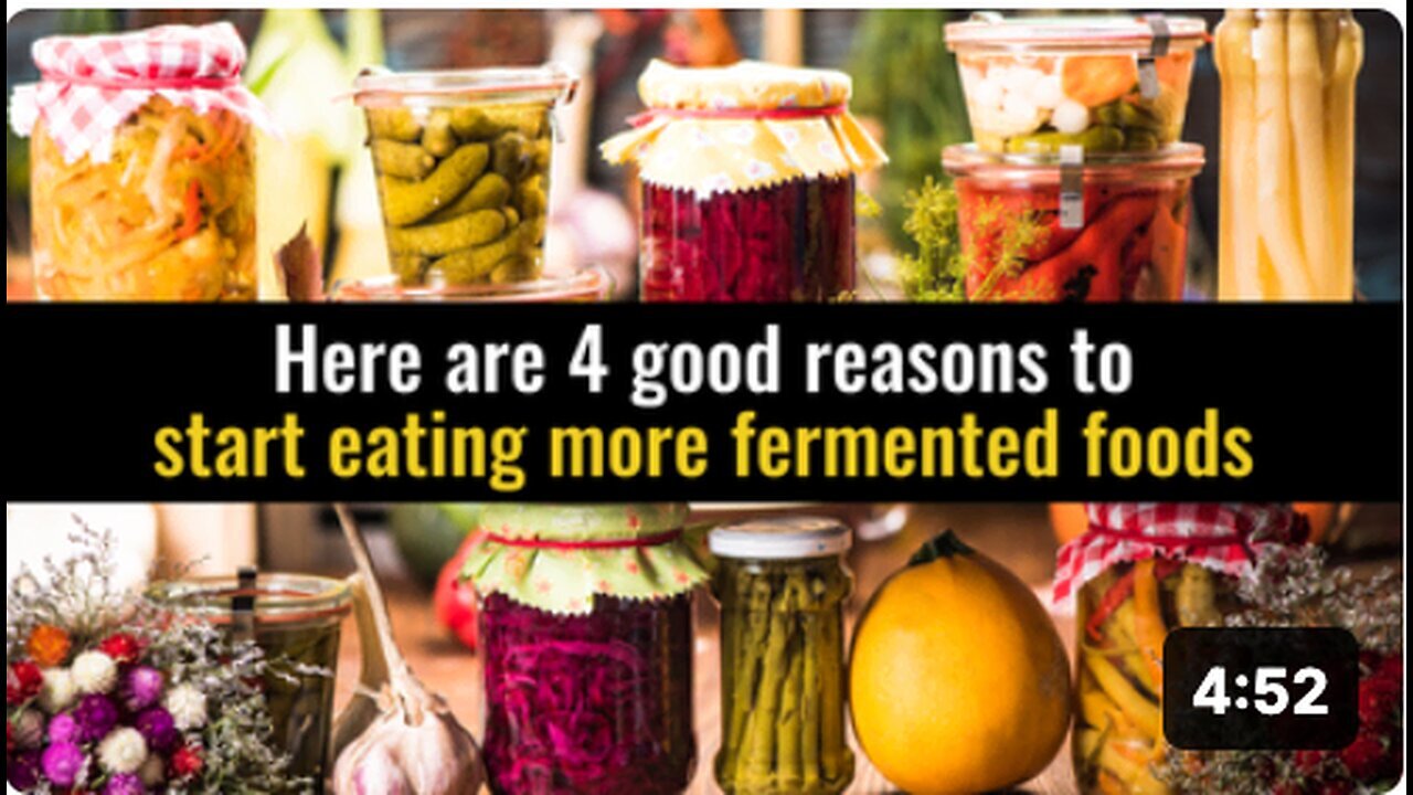 "4 Compelling Reasons to Incorporate More Fermented Foods in Your Diet"