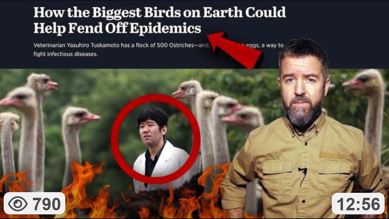 Truth About OSTRICH FARM CULL: Antibodies in Eggs Can CURE Humans ~ with Dan Dicks, Press For Truth 5.16.25