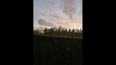 The Bible reading of the day the New Testament series Luke 21:1-4