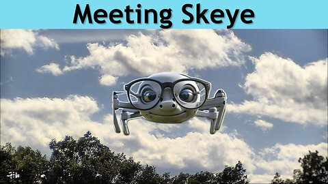 Meeting Skeye