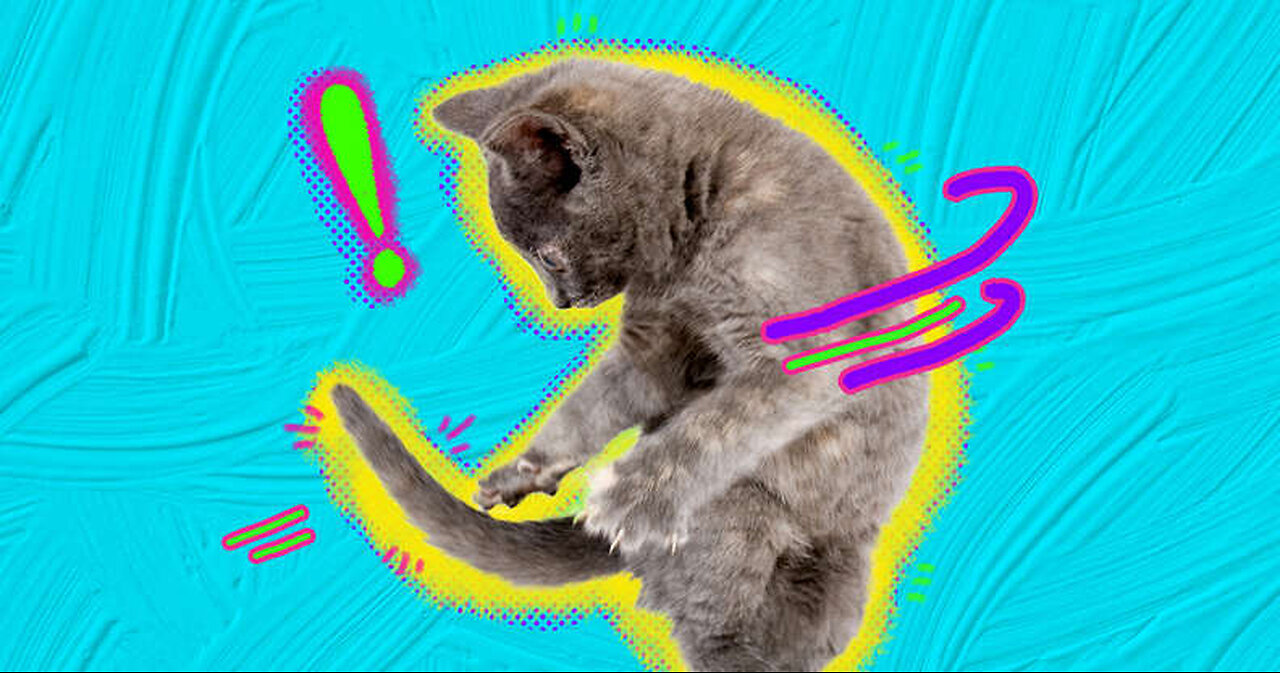 Cat's Biggest Enemy 🤣🤣🤣