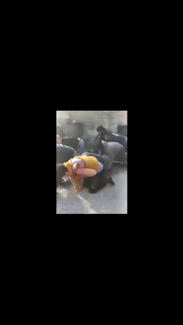 Muslims force other Muslims to crawl & bark like dogs in Syria (3/7/25)